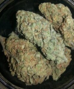 Indica Strains